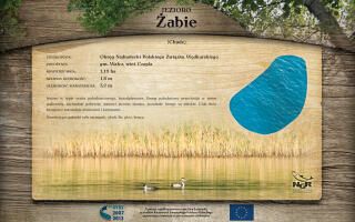 024_NGR_tablica_zabie