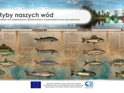Sciezki-edukacyjne-o-rybactwie_Tablica-z-opisem-rybb2c3_3285-400x300.jpg