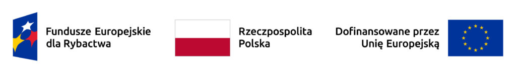 FER_RP_UE_RGB_poziom_kolor-1024x146.jpg