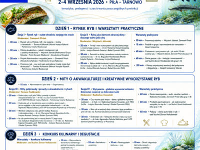 program_light-400x300.jpg
